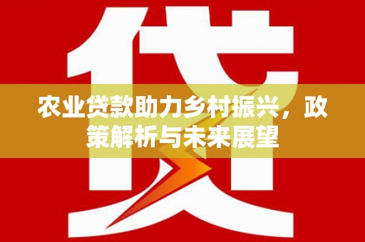 前镇农业贷款助力乡村振兴，政策解析与未来展望