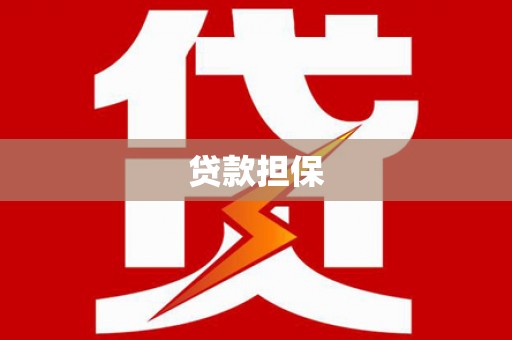 前镇贷款担保