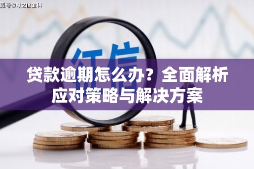 前镇贷款逾期怎么办？全面解析应对策略与解决方案
