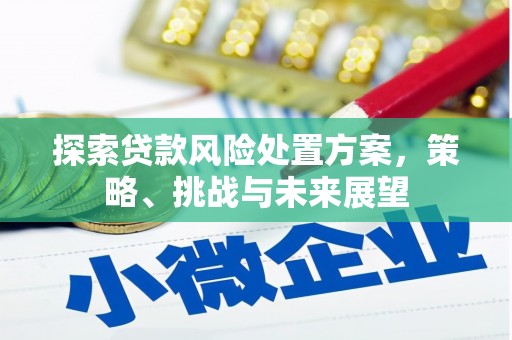 前镇探索贷款风险处置方案，策略、挑战与未来展望