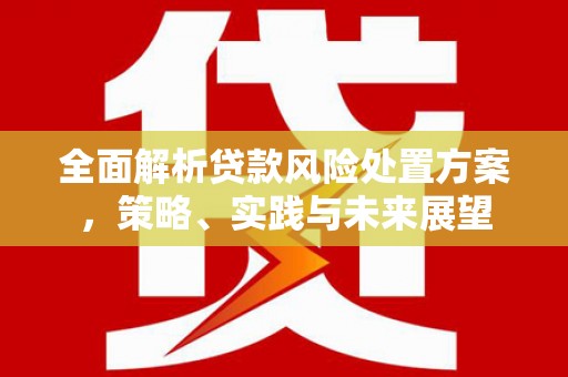 前镇全面解析贷款风险处置方案，策略、实践与未来展望