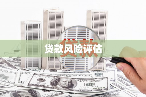 前镇贷款风险评估