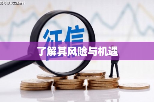 前镇了解其风险与机遇