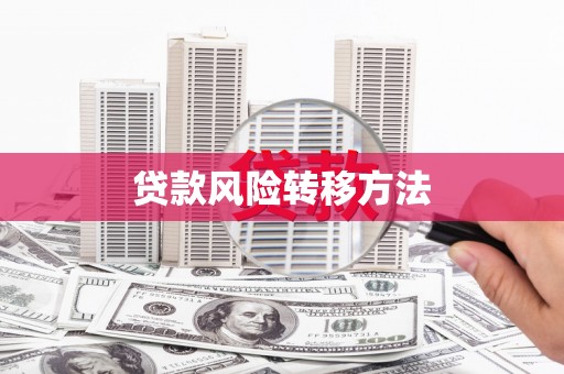 前镇贷款风险转移方法