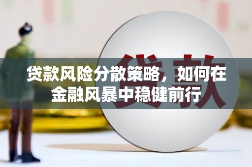 前镇贷款风险分散策略，如何在金融风暴中稳健前行