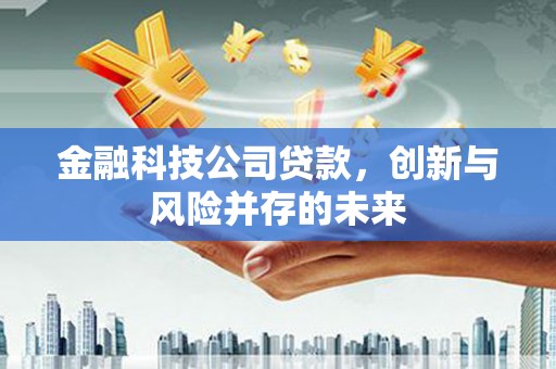 前镇金融科技公司贷款，创新与风险并存的未来