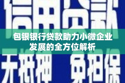 前镇包银银行贷款助力小微企业发展的全方位解析