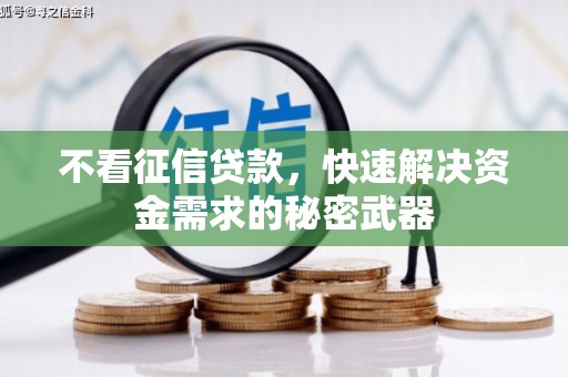 前镇不看征信贷款，快速解决资金需求的秘密武器