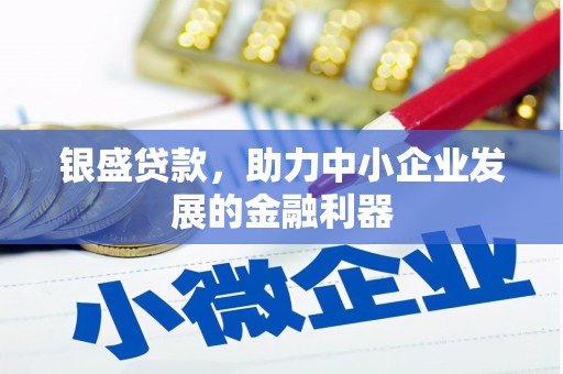 前镇银盛贷款，助力中小企业发展的金融利器