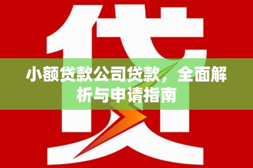 前镇小额贷款公司贷款，全面解析与申请指南