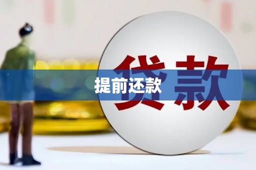 前镇提前还款
