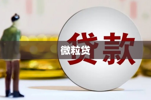 前镇微粒贷