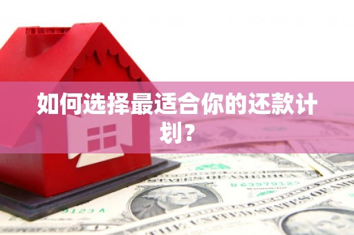 前镇如何选择最适合你的还款计划？