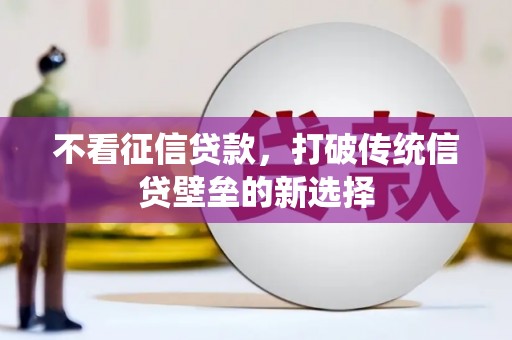 前镇不看征信贷款，打破传统信贷壁垒的新选择
