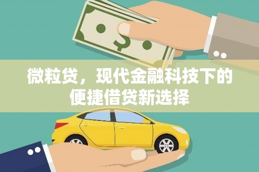 前镇微粒贷，现代金融科技下的便捷借贷新选择