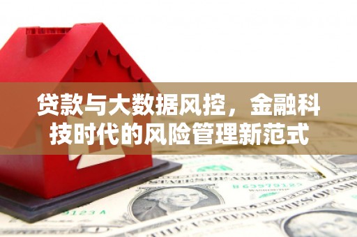 前镇贷款与大数据风控，金融科技时代的风险管理新范式
