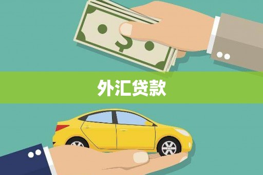 前镇外汇贷款