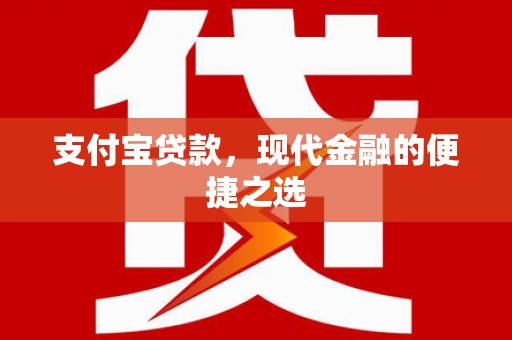 前镇支付宝贷款，现代金融的便捷之选