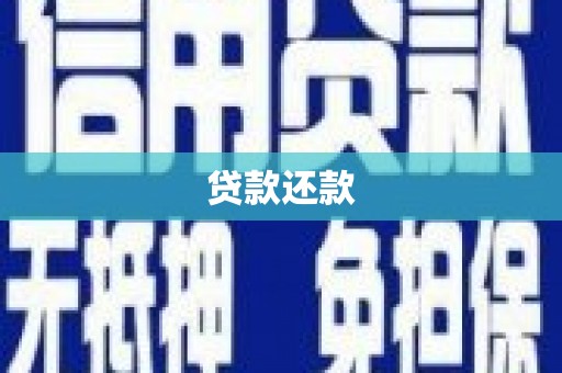 前镇贷款还款
