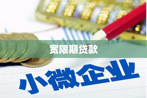 前镇宽限期贷款