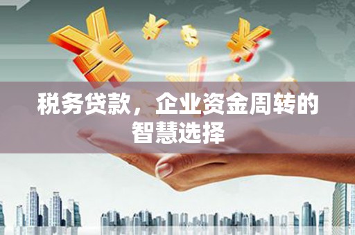 前镇税务贷款，企业资金周转的智慧选择