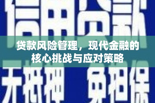 前镇贷款风险管理，现代金融的核心挑战与应对策略