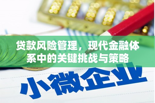 前镇贷款风险管理，现代金融体系中的关键挑战与策略