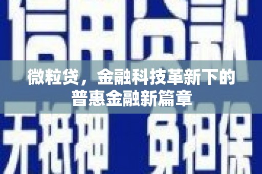 前镇微粒贷，金融科技革新下的普惠金融新篇章