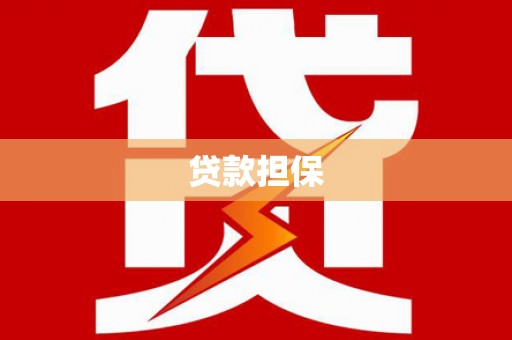 前镇贷款担保
