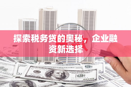 前镇探索税务贷的奥秘，企业融资新选择