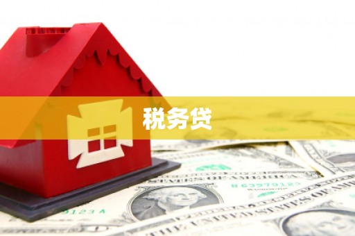 前镇税务贷