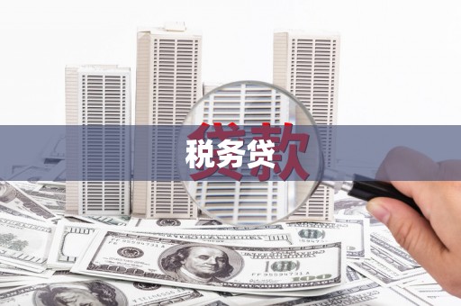 前镇税务贷