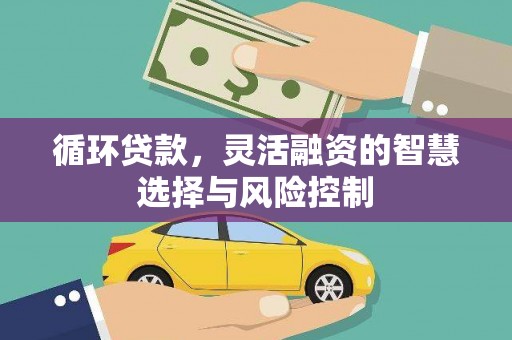 前镇循环贷款，灵活融资的智慧选择与风险控制