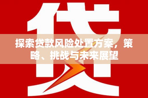 前镇探索贷款风险处置方案，策略、挑战与未来展望