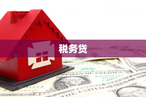 前镇税务贷