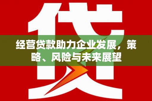前镇经营贷款助力企业发展，策略、风险与未来展望