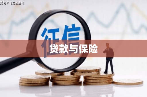 前镇贷款与保险