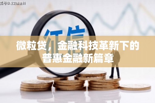 前镇微粒贷，金融科技革新下的普惠金融新篇章