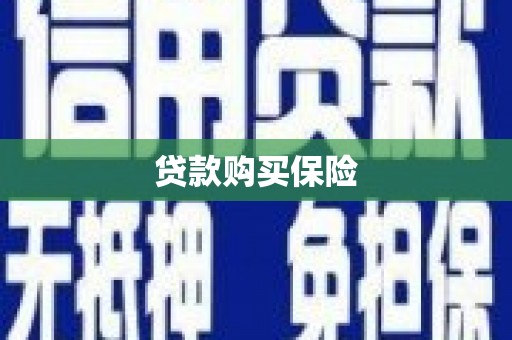 前镇贷款购买保险