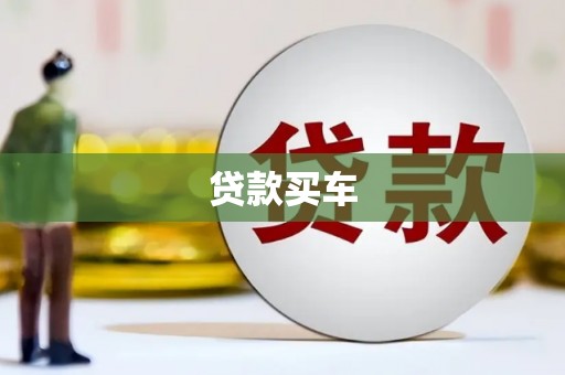 前镇贷款买车
