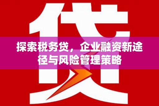 前镇探索税务贷，企业融资新途径与风险管理策略