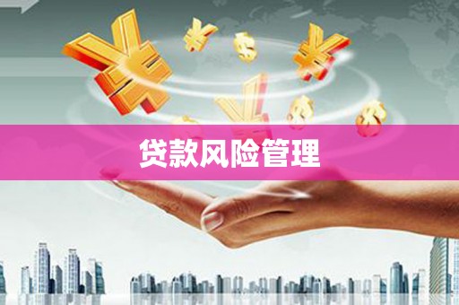 前镇贷款风险管理