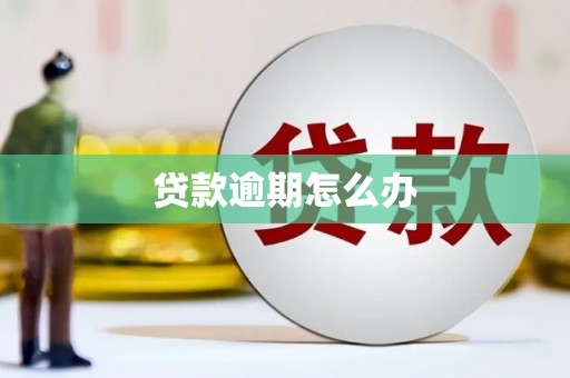 前镇贷款逾期怎么办