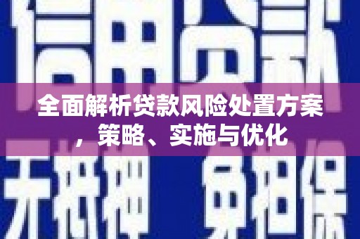 前镇全面解析贷款风险处置方案，策略、实施与优化