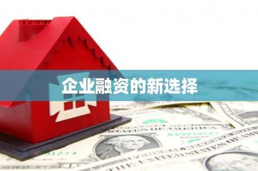 前镇企业融资的新选择