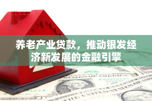 前镇养老产业贷款，推动银发经济新发展的金融引擎