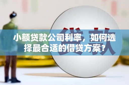 前镇小额贷款公司利率，如何选择最合适的借贷方案？