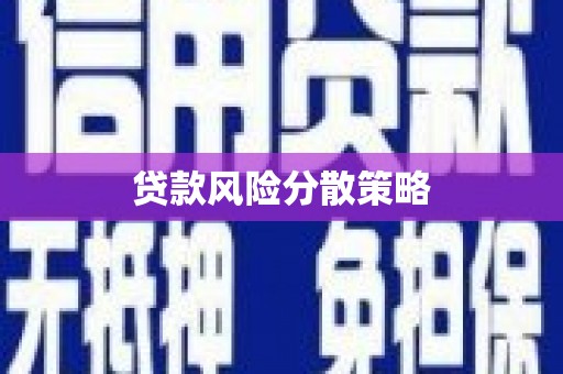 前镇贷款风险分散策略