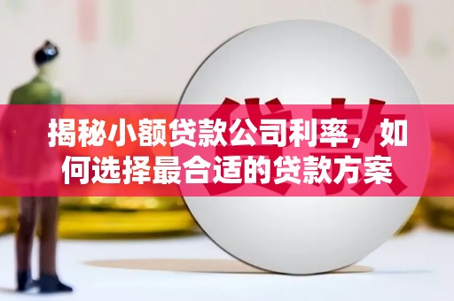 前镇揭秘小额贷款公司利率，如何选择最合适的贷款方案