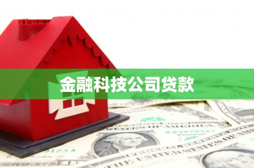 前镇金融科技公司贷款